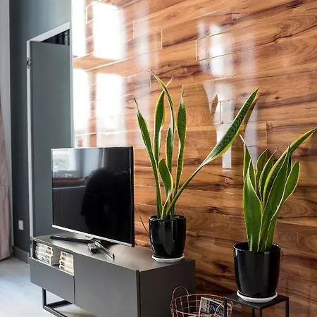 Apartment Centrum Superior *