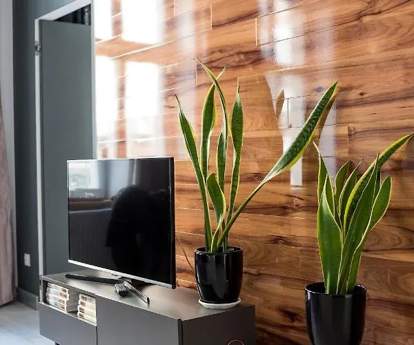 Apartman Centrum Superior *